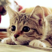 Костя Филатов