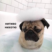 Богдан Приходько