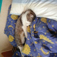 Аскат Кубаев