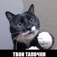 Vadim Lapin