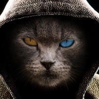 Миша Ворончихин
