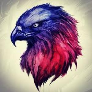 1sT Fenix