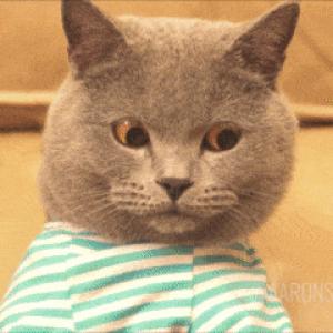 Аутист