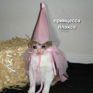 Михаил Данилов