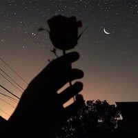 Данила Шамбер