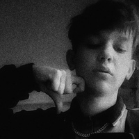 Александр Добровольский