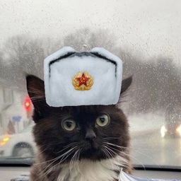 Сергей Моржов