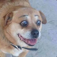 Mr. Diddlez