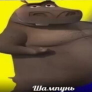 шампунь