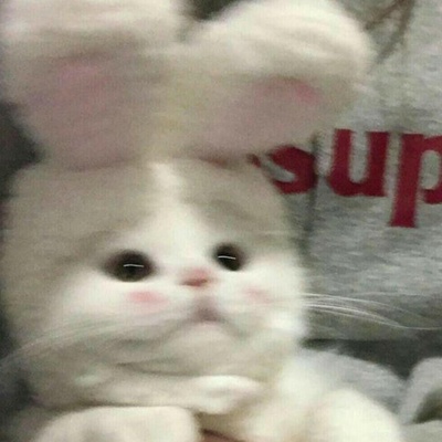 Женек Сопогов