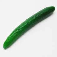 Cucumber