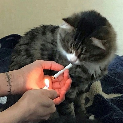 Дед Зейров