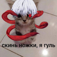 Я КОТ ЛОВИ ХЕДШОТ