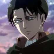 levi f