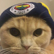 meloww
