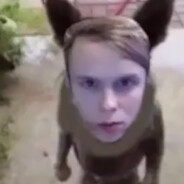 пивная сиська