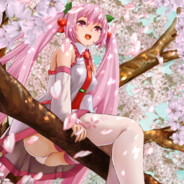 xxsakura_safuraixx