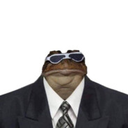 Zenekst