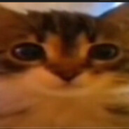 garrrkk(1)
