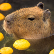 <BHOP>Capybara
