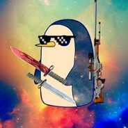 n.e.n.e.t.s v.a.n.y.a
