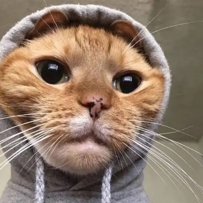 Кирилл Бондарь