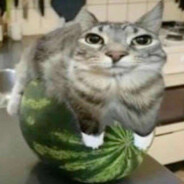 Максим Унитаз