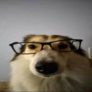 ^excuse me^_муха_