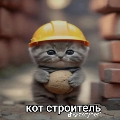 Дима Окно