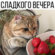 Без ника