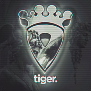 tiger in oasis
