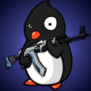 OOO_PINGVIN