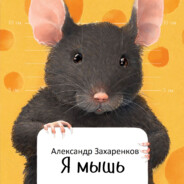 Мышь EPICDROP.net