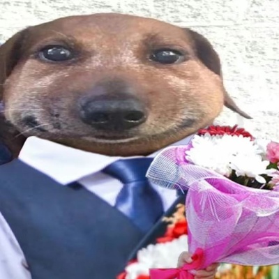 Богдан Блин