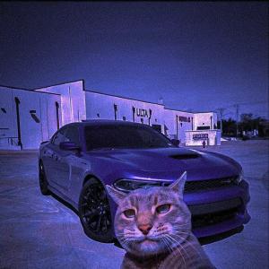BLVCK
