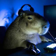 Capybarik14