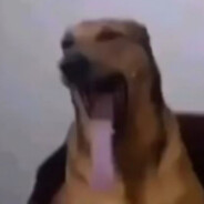 puzo