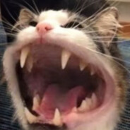 pupuzn