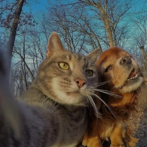 Алексей Скоробогатов