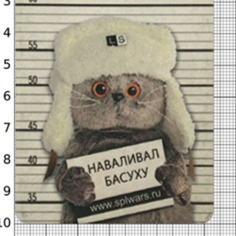 Тимофей Присухин