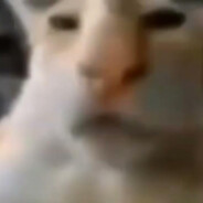 дубащитбл ????????????