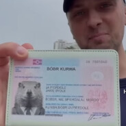 Bober Kurva