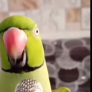 LIMBOsucks