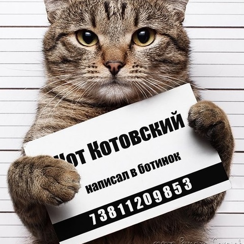 Тимофей Шеховцов