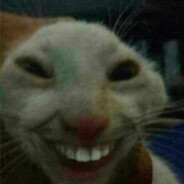 ????????????_????????????????