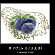 слива