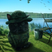finksi