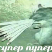 плеер2004