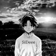 SiDeee27