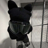 ✵????????????????????✵